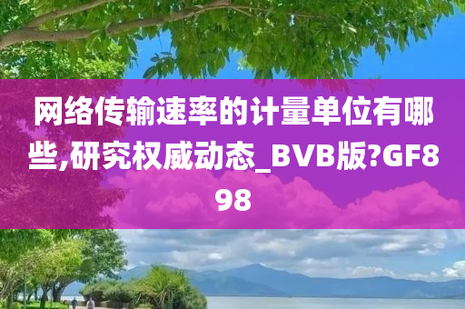 网络传输速率的计量单位有哪些,研究权威动态_BVB版?GF898