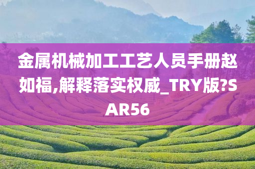 金属机械加工工艺人员手册赵如福,解释落实权威_TRY版?SAR56