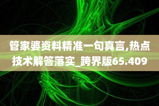 管家婆资料精准一句真言,热点技术解答落实_跨界版65.409