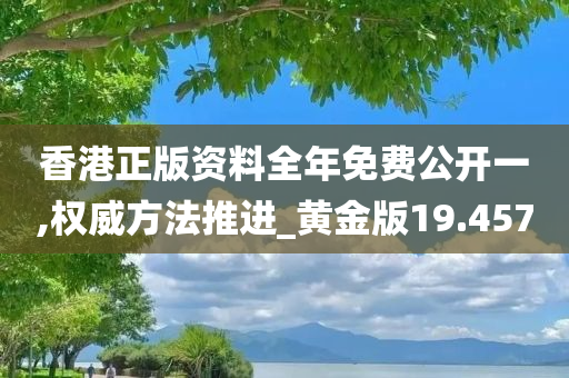 香港正版资料全年免费公开一,权威方法推进_黄金版19.457