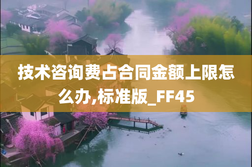 技术咨询费占合同金额上限怎么办,标准版_FF45