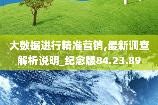 大数据进行精准营销,最新调查解析说明_纪念版84.23.89