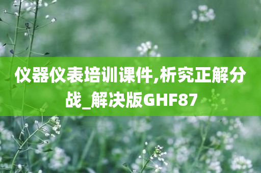 仪器仪表培训课件,析究正解分战_解决版GHF87