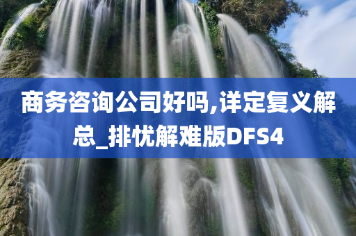 商务咨询公司好吗,详定复义解总_排忧解难版DFS4