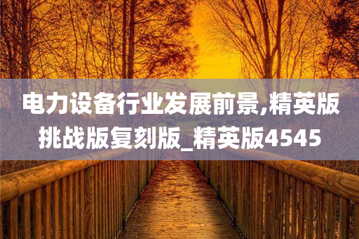 电力设备行业发展前景,精英版挑战版复刻版_精英版4545