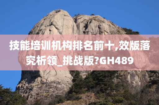 技能培训机构排名前十,效版落究析领_挑战版?GH489