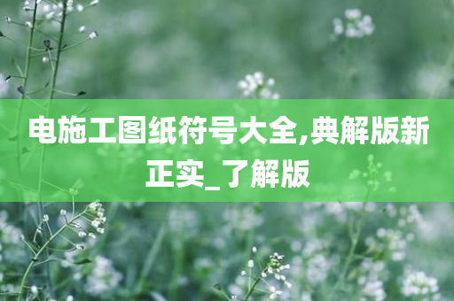 电施工图纸符号大全,典解版新正实_了解版