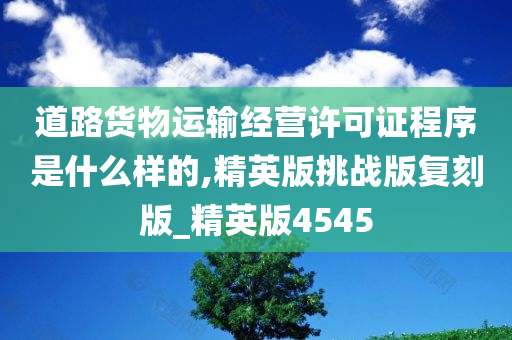 道路货物运输经营许可证程序是什么样的,精英版挑战版复刻版_精英版4545