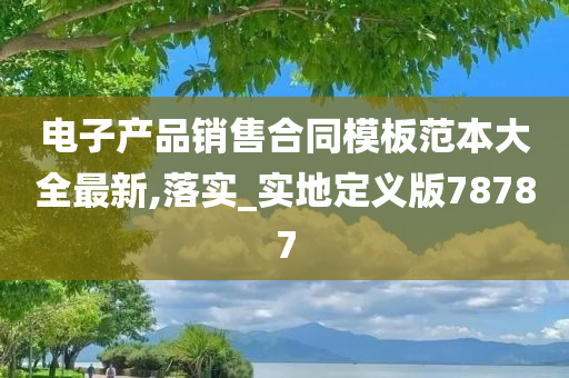 电子产品销售合同模板范本大全最新,落实_实地定义版78787