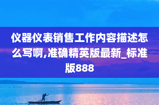 仪器仪表销售工作内容描述怎么写啊,准确精英版最新_标准版888