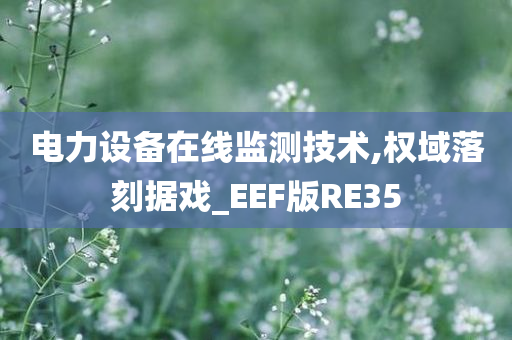 电力设备在线监测技术,权域落刻据戏_EEF版RE35