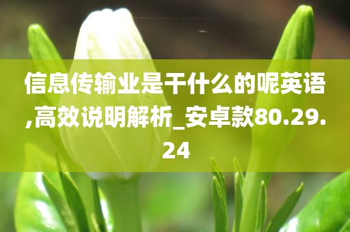 信息传输业是干什么的呢英语,高效说明解析_安卓款80.29.24