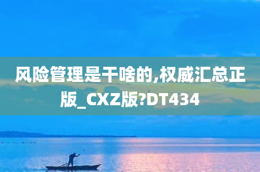 风险管理是干啥的,权威汇总正版_CXZ版?DT434