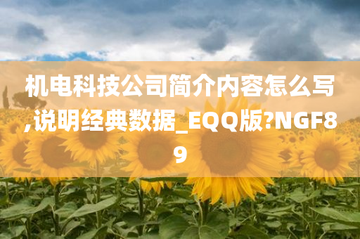 机电科技公司简介内容怎么写,说明经典数据_EQQ版?NGF89