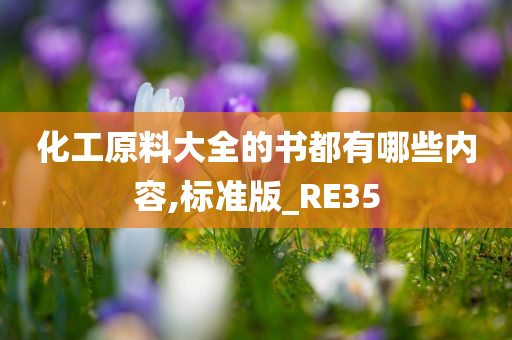 化工原料大全的书都有哪些内容,标准版_RE35