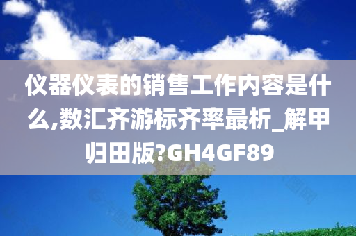 仪器仪表的销售工作内容是什么,数汇齐游标齐率最析_解甲归田版?GH4GF89