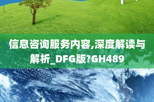 信息咨询服务内容,深度解读与解析_DFG版?GH489