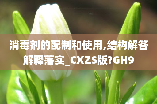 消毒剂的配制和使用,结构解答解释落实_CXZS版?GH9