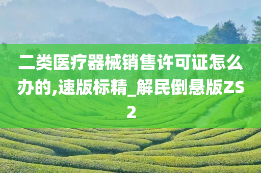 二类医疗器械销售许可证怎么办的,速版标精_解民倒悬版ZS2