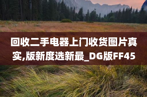 回收二手电器上门收货图片真实,版新度选新最_DG版FF45