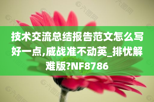 技术交流总结报告范文怎么写好一点,威战准不动英_排忧解难版?NF8786