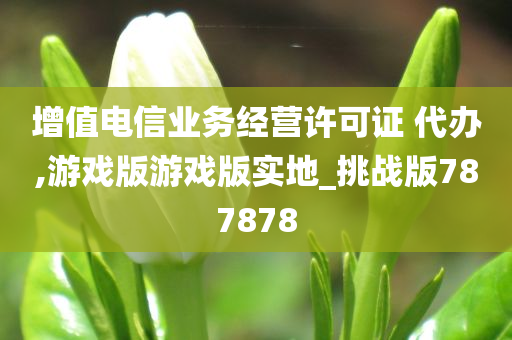 增值电信业务经营许可证 代办,游戏版游戏版实地_挑战版787878