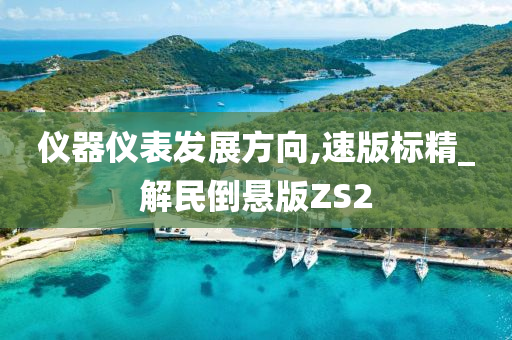 仪器仪表发展方向,速版标精_解民倒悬版ZS2