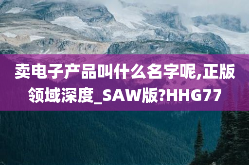 卖电子产品叫什么名字呢,正版领域深度_SAW版?HHG77