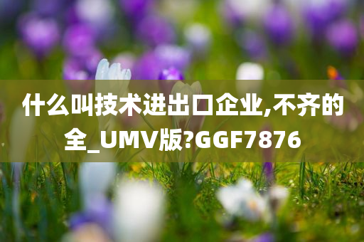 什么叫技术进出口企业,不齐的全_UMV版?GGF7876