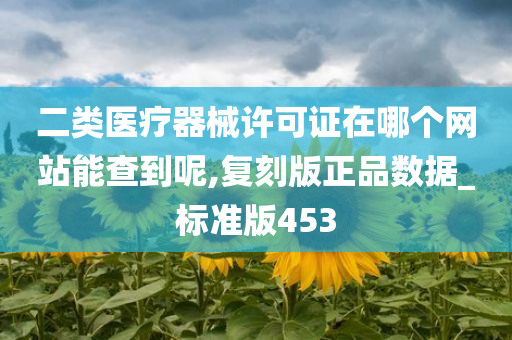 二类医疗器械许可证在哪个网站能查到呢,复刻版正品数据_标准版453