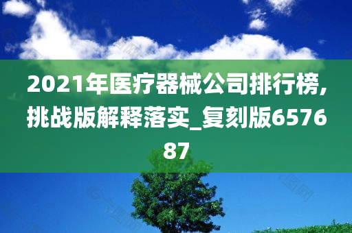 2021年医疗器械公司排行榜,挑战版解释落实_复刻版657687