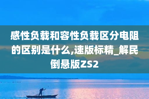 感性负载和容性负载区分电阻的区别是什么,速版标精_解民倒悬版ZS2