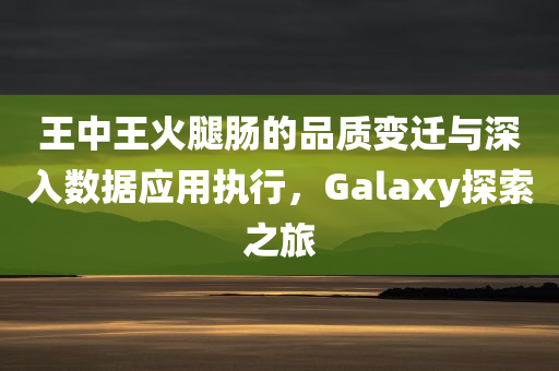 王中王火腿肠的品质变迁与深入数据应用执行，Galaxy探索之旅