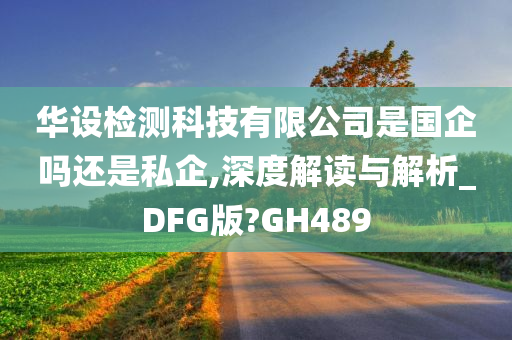 华设检测科技有限公司是国企吗还是私企,深度解读与解析_DFG版?GH489