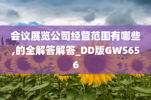 会议展览公司经营范围有哪些,的全解答解答_DD版GW5656