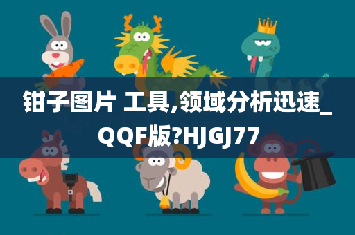 钳子图片 工具,领域分析迅速_QQF版?HJGJ77