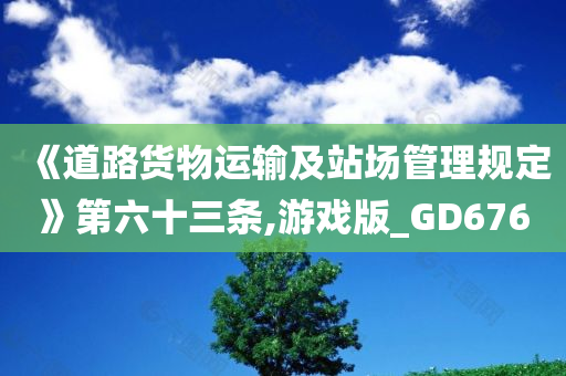 《道路货物运输及站场管理规定》第六十三条,游戏版_GD676