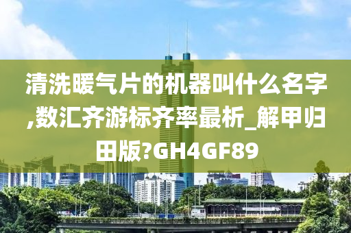 清洗暖气片的机器叫什么名字,数汇齐游标齐率最析_解甲归田版?GH4GF89