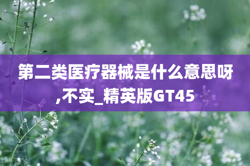 第二类医疗器械是什么意思呀,不实_精英版GT45