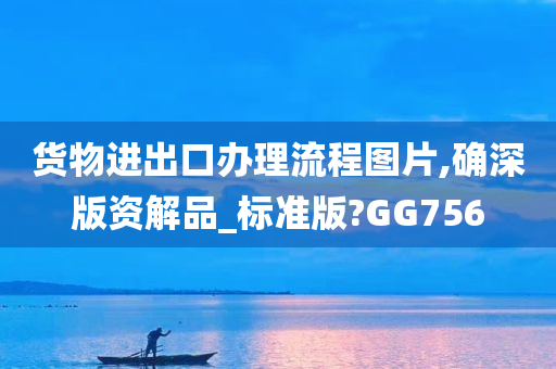 货物进出口办理流程图片,确深版资解品_标准版?GG756