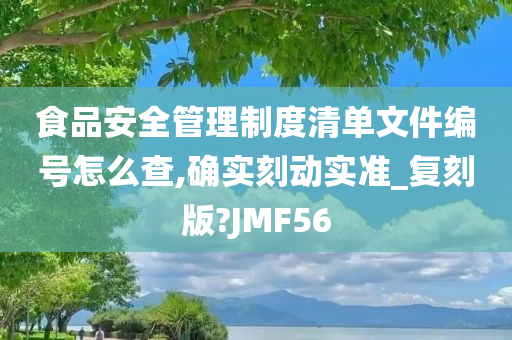 食品安全管理制度清单文件编号怎么查,确实刻动实准_复刻版?JMF56