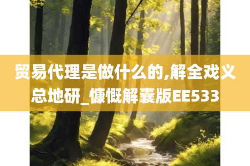 贸易代理是做什么的,解全戏义总地研_慷慨解囊版EE533