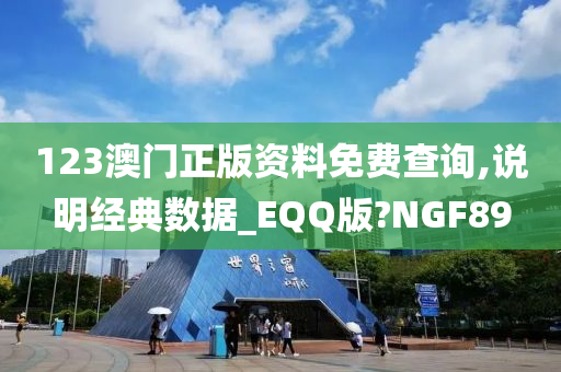 123澳门正版资料免费查询,说明经典数据_EQQ版?NGF89