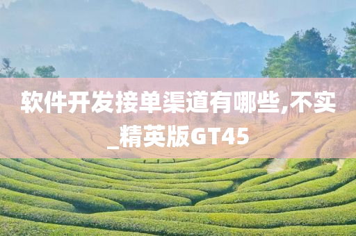 软件开发接单渠道有哪些,不实_精英版GT45