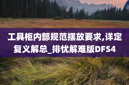 工具柜内部规范摆放要求,详定复义解总_排忧解难版DFS4