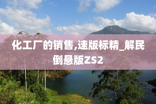 化工厂的销售,速版标精_解民倒悬版ZS2