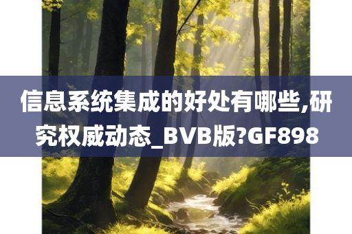 信息系统集成的好处有哪些,研究权威动态_BVB版?GF898