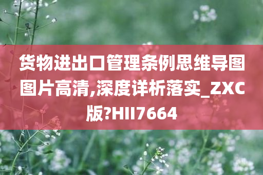 货物进出口管理条例思维导图图片高清,深度详析落实_ZXC版?HII7664