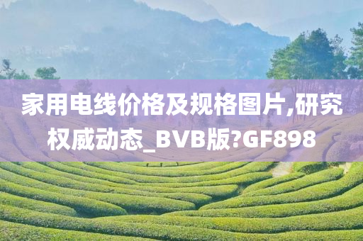 家用电线价格及规格图片,研究权威动态_BVB版?GF898