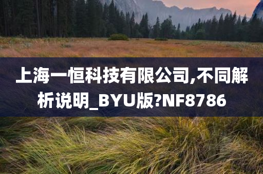 上海一恒科技有限公司,不同解析说明_BYU版?NF8786